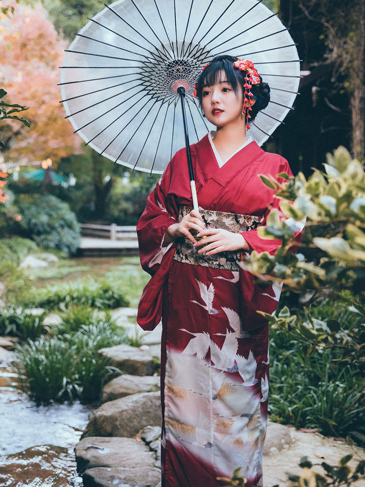 Women's Japanese Formal Kimono - Japanese Women Formal Wear 评论和价格